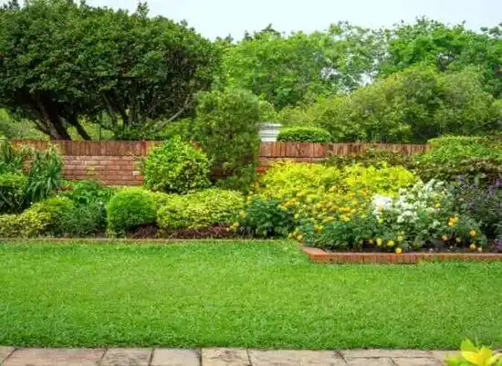 landscaping services Wallins Creek